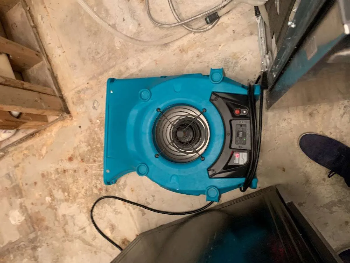 Air mover drying equipment for Mold Remediation & Removal in Fort Oglethorpe